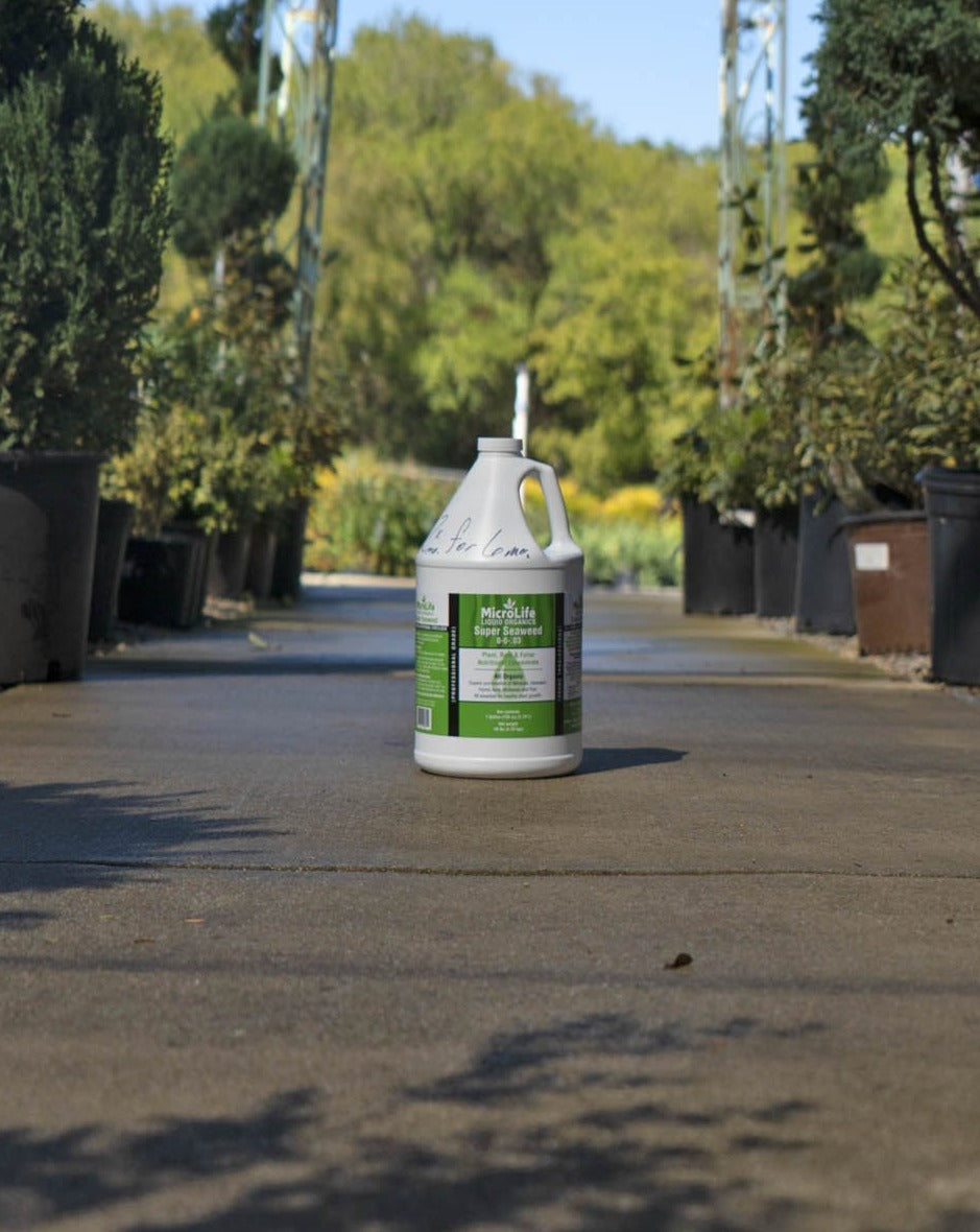 root stimulator spray for succulents MicroLife Super Seaweed Organic Root Stimulator