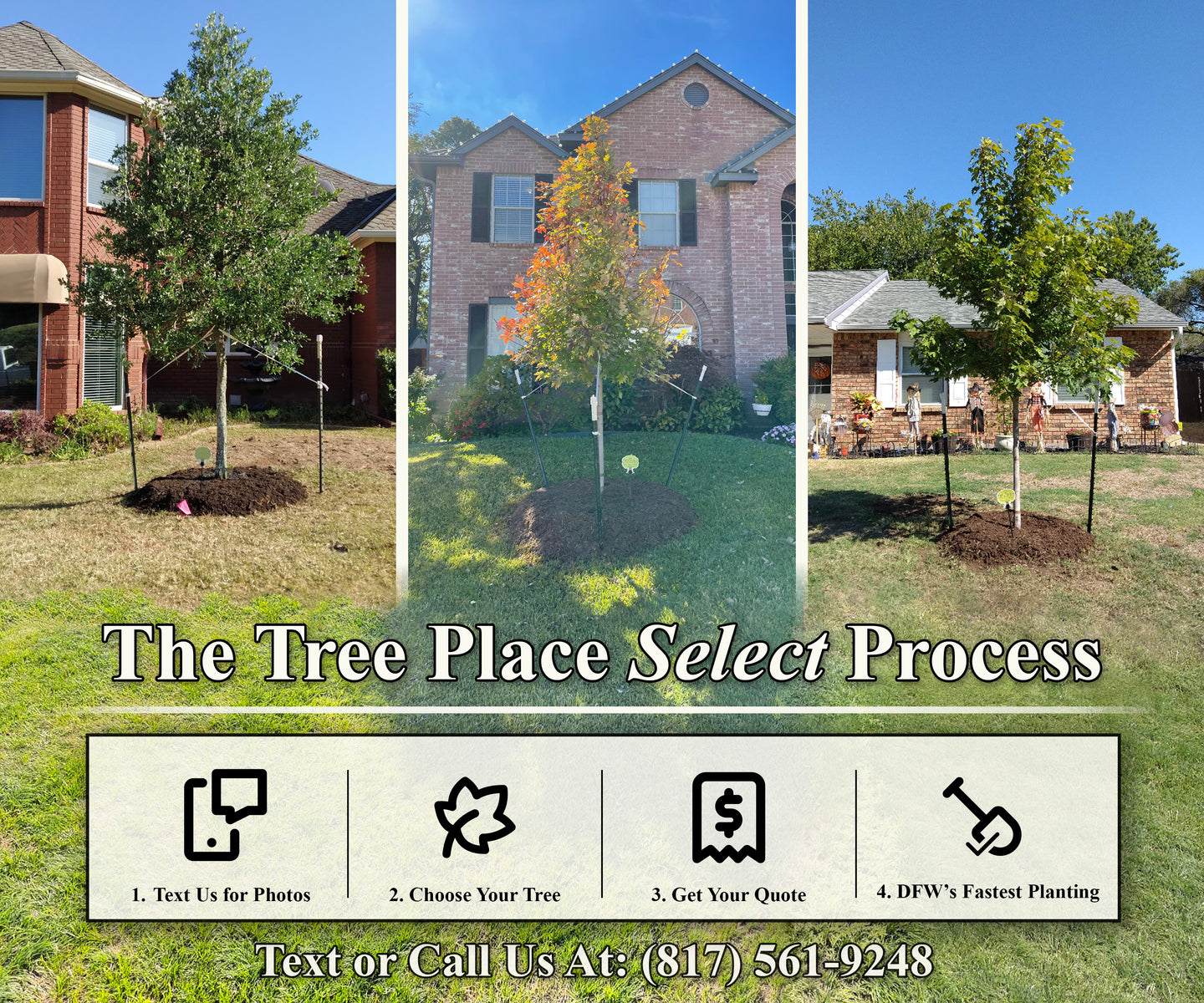 9-Acre Nursery, Fort Worth, TX - The Tree Place – The Tree Place TX