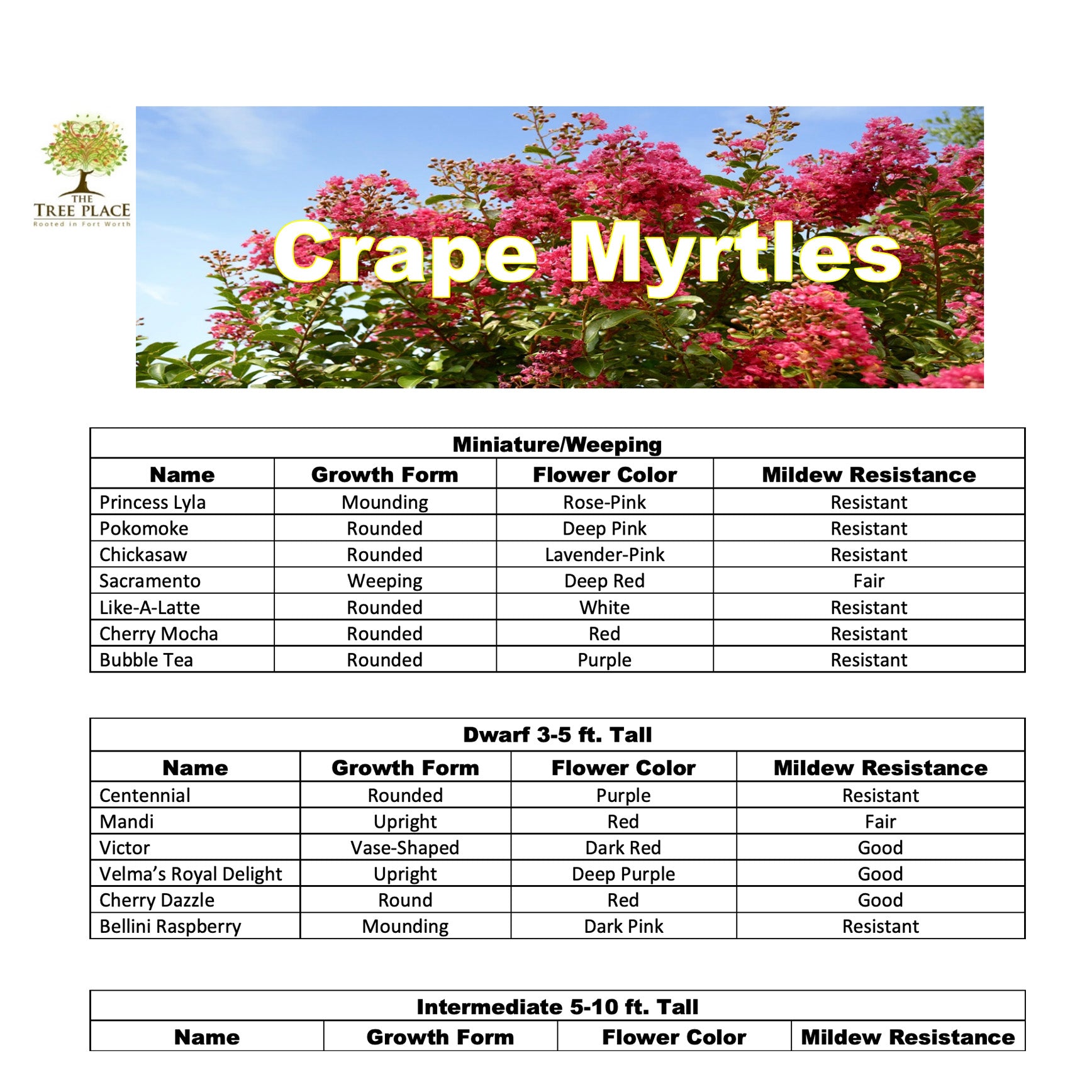 The Tree Place Selection Guides – The Tree Place TX