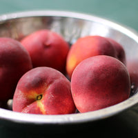 Peach Tree - Prunus Persica