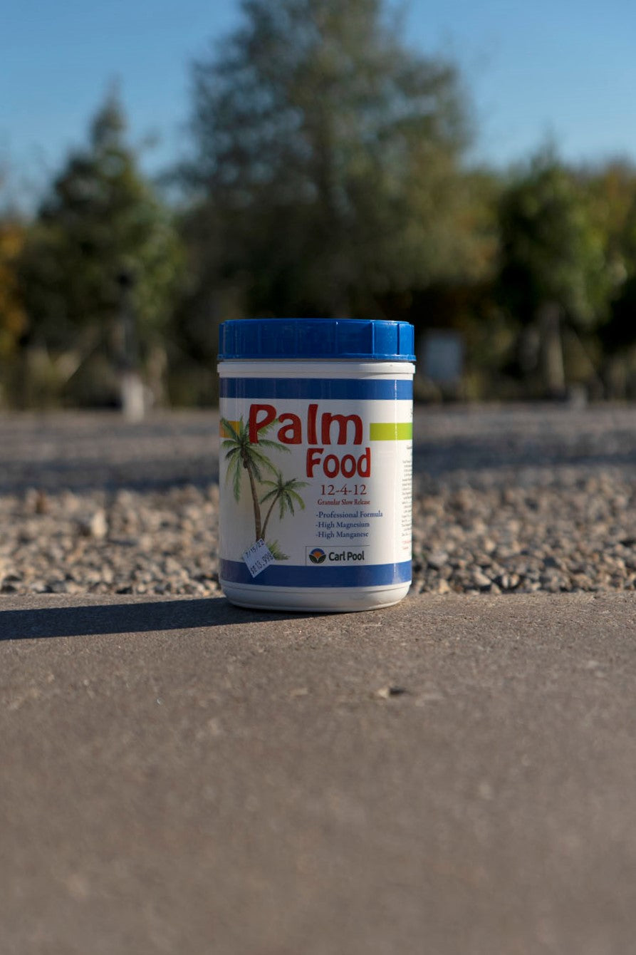 Palm Food – The Tree Place TX